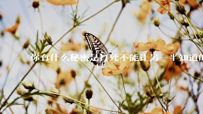 你有什么秘密是打死不能让另一半知道的？