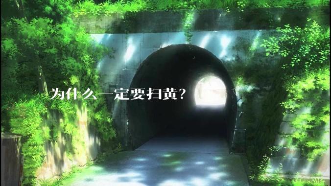 为什么一定要扫黄？